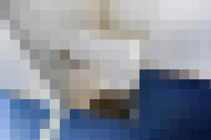 Vaart Zz 11 Appelscha thumbnail 34