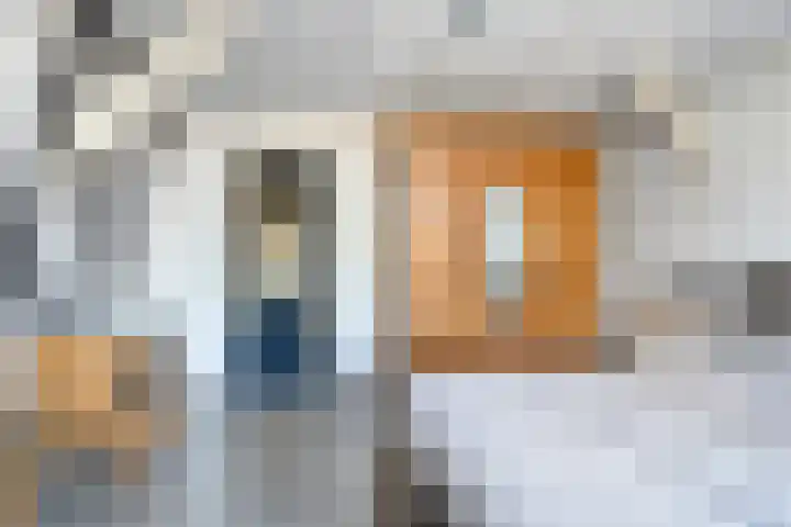Vaart Zz 11 Appelscha thumbnail 38