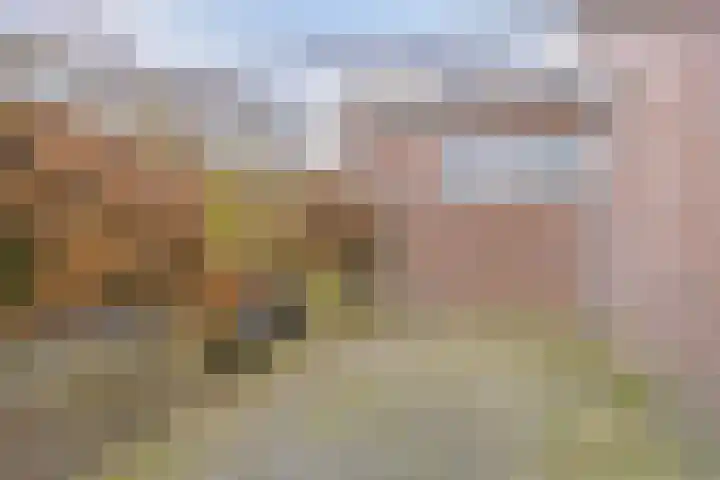 Vaart Zz 11 Appelscha thumbnail 47