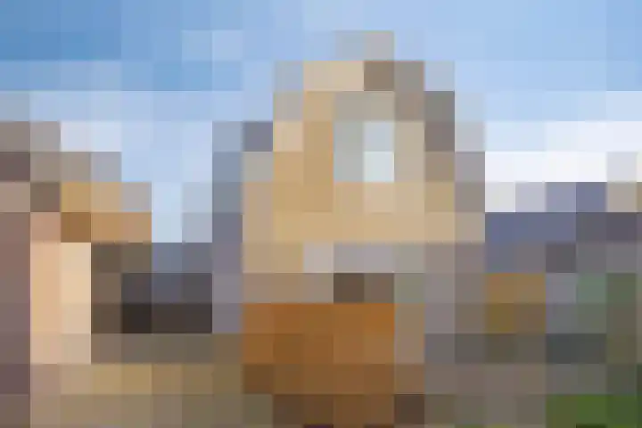 Vaart Zz 11 Appelscha thumbnail 51