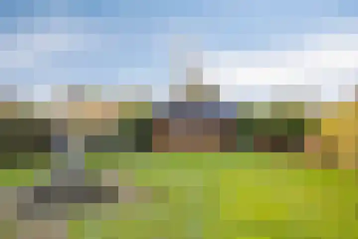 Vaart Zz 11 Appelscha thumbnail 52