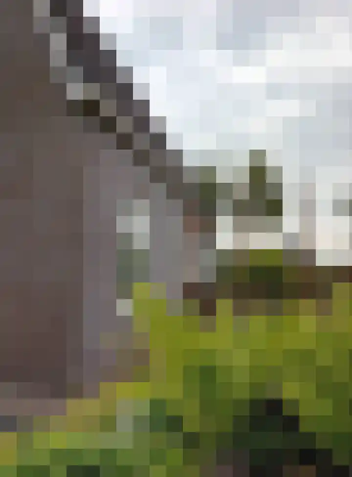 Vaart Zz 11 Appelscha thumbnail 65