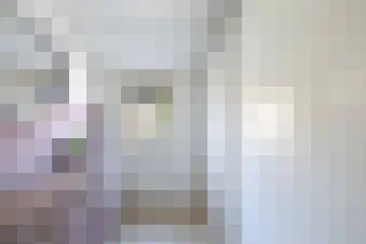 Vaartweg 14 Espel thumbnail 27