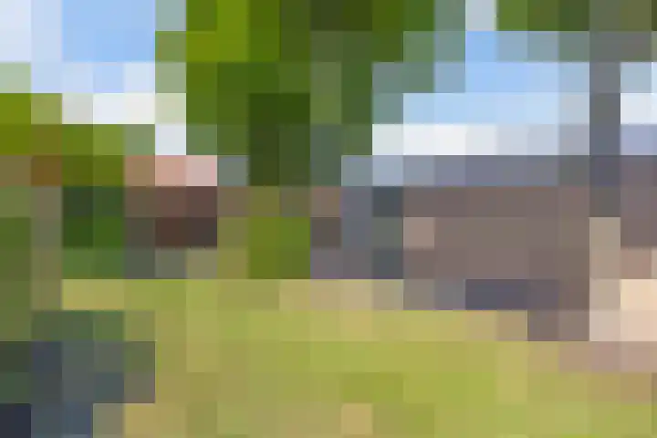 Vaartweg 14 Espel thumbnail 34
