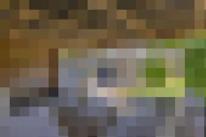 Vaartweg 14 Espel thumbnail 43