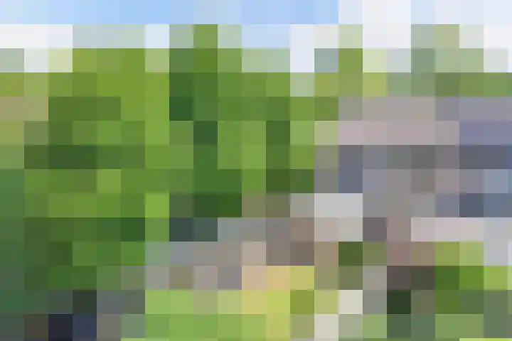 Vaartweg 14 Espel thumbnail 44