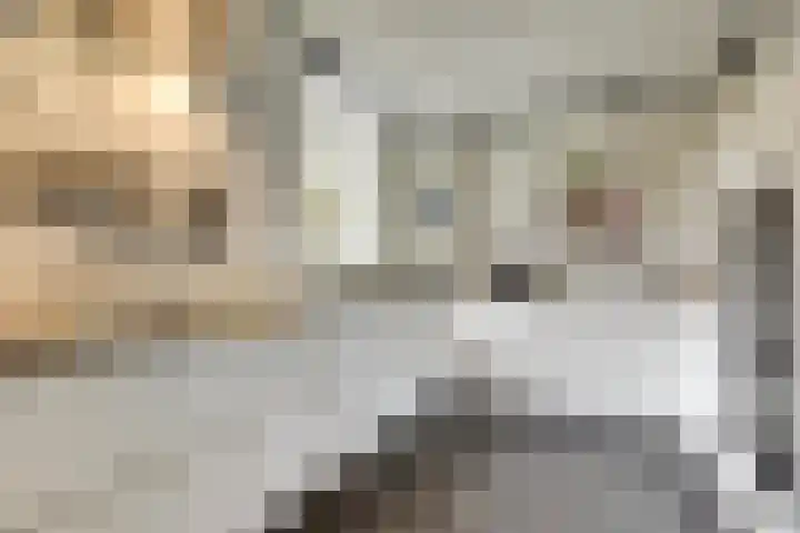 Vaartweg 17 's Gravenmoer thumbnail 23