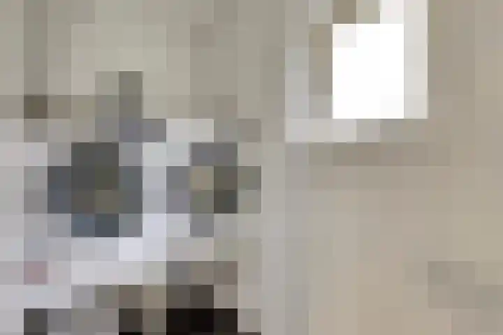 Vaartweg 17 's Gravenmoer thumbnail 33