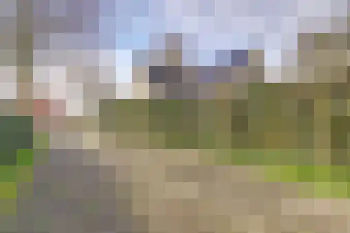 Vaartweg 17 's Gravenmoer thumbnail 5