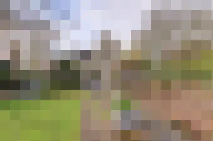 Vaartweg 17 's Gravenmoer thumbnail 51