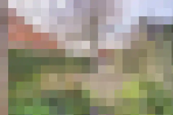 Vaartweg 17 's Gravenmoer thumbnail 54