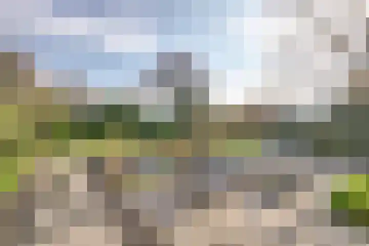 Vaartweg 17 's Gravenmoer thumbnail 6