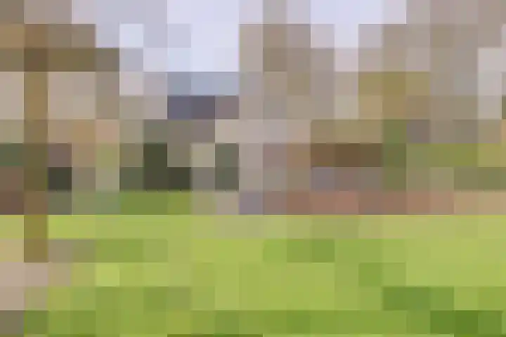 Vaartweg 17 's Gravenmoer thumbnail 7