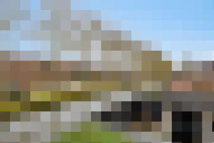 Vaarzenhof 152 Uden thumbnail 19