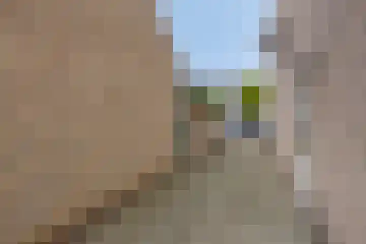 Vaarzenhof 152 Uden thumbnail 33