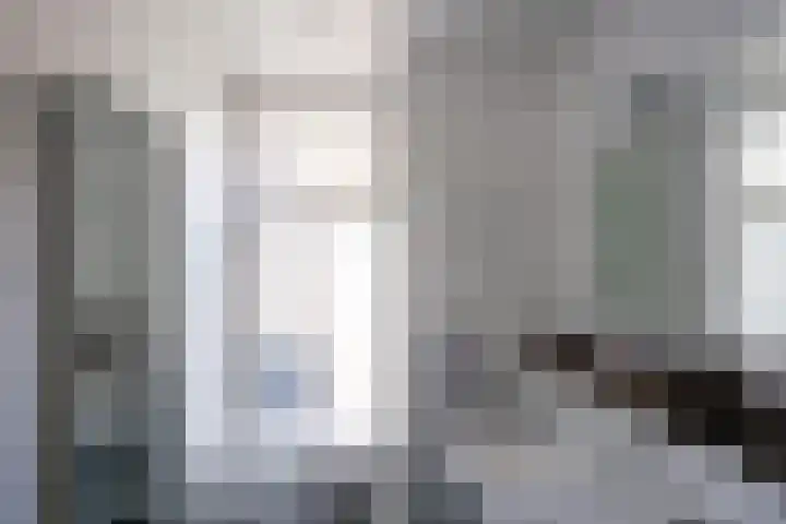 Vaassenseweg 36 Emst thumbnail 14