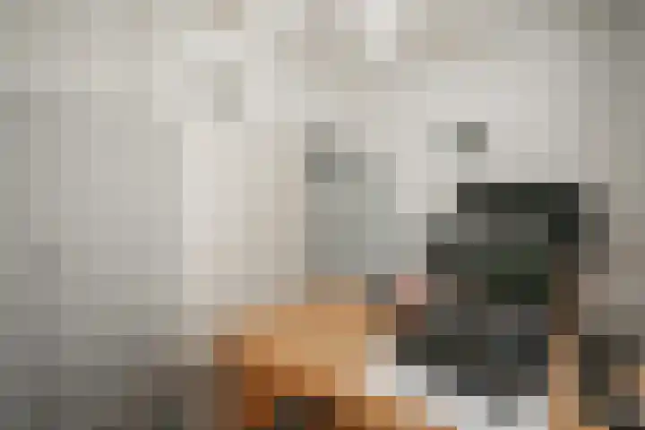 Vaassenseweg 36 Emst thumbnail 16