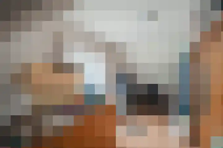 Vaassenseweg 36 Emst thumbnail 22