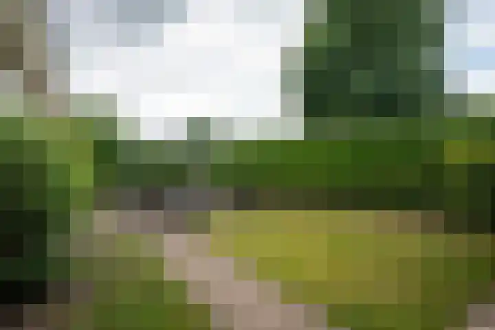 Vaassenseweg 36 Emst thumbnail 23
