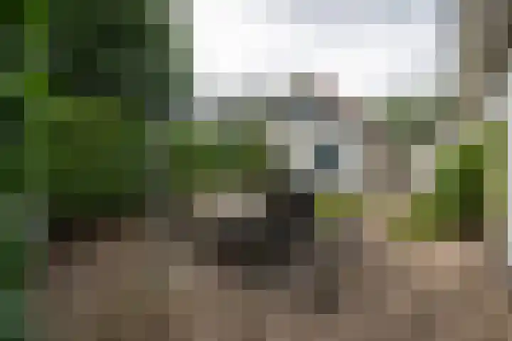 Vaassenseweg 36 Emst thumbnail 24