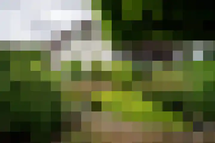 Vaassenseweg 36 Emst thumbnail 25