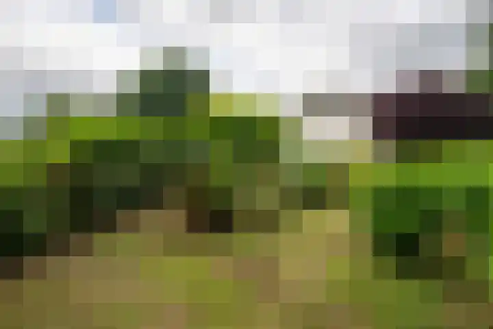 Vaassenseweg 36 Emst thumbnail 26