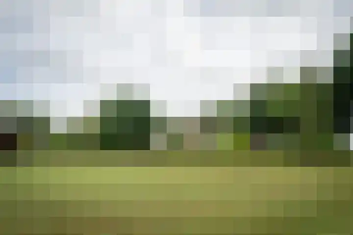Vaassenseweg 36 Emst thumbnail 29