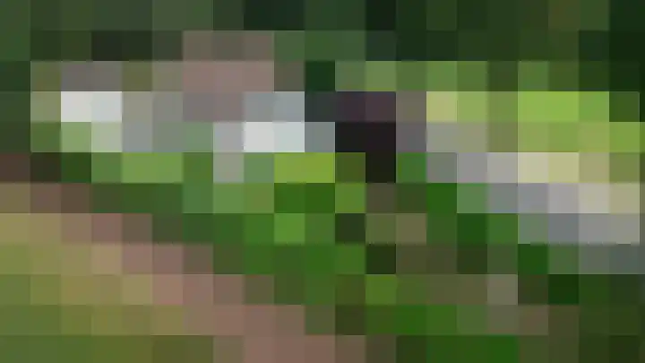 Vaassenseweg 36 Emst thumbnail 31
