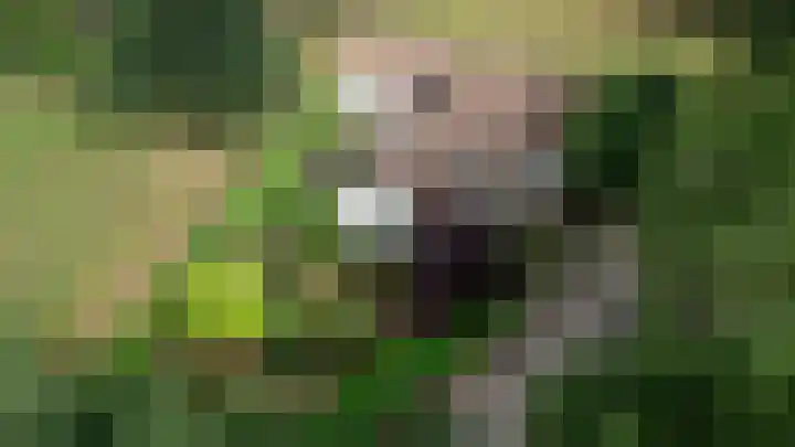Vaassenseweg 36 Emst thumbnail 36