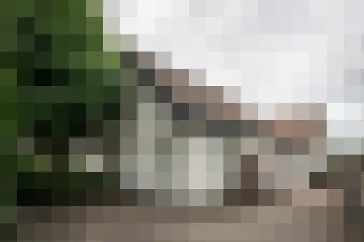 Vaassenseweg 36 Emst thumbnail 4