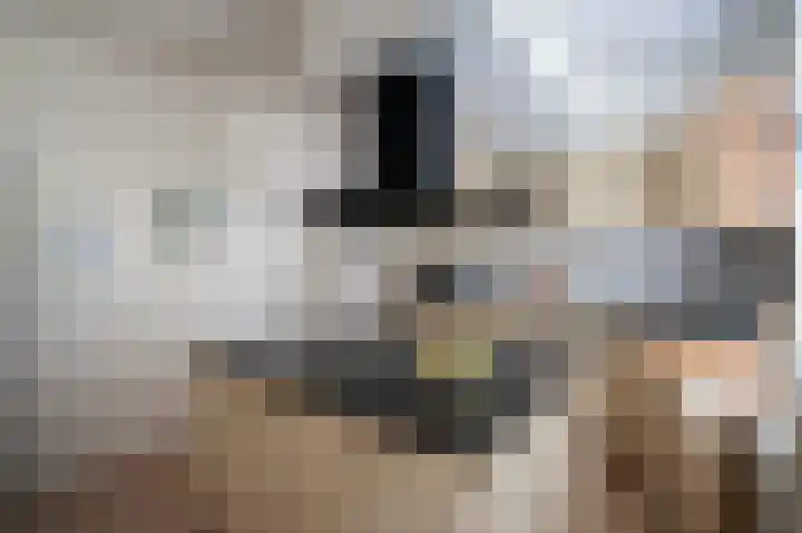 Vaassenseweg 36 Emst thumbnail 7