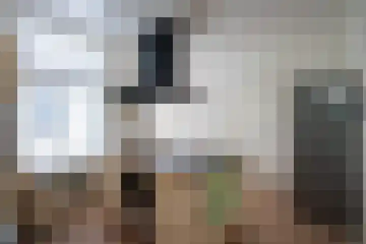 Vaassenseweg 36 Emst thumbnail 9