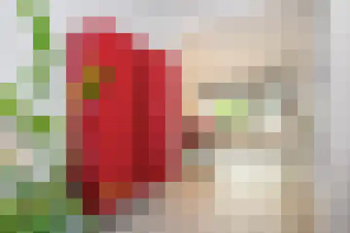 Vaesrade 93 b Nuth thumbnail 19