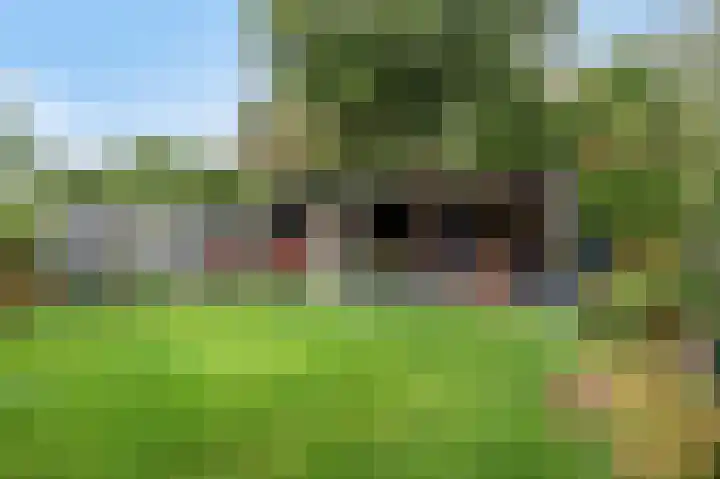 Vaesrade 93 b Nuth thumbnail 32