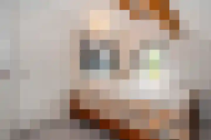 Vaesrade 93 b Nuth thumbnail 47