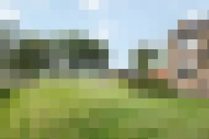 Vagevuursweg 3 a Haarle thumbnail 12