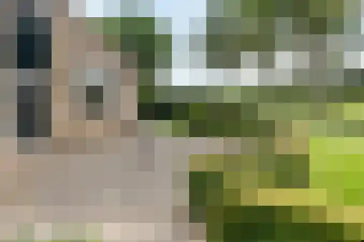 Vagevuursweg 3 a Haarle thumbnail 13