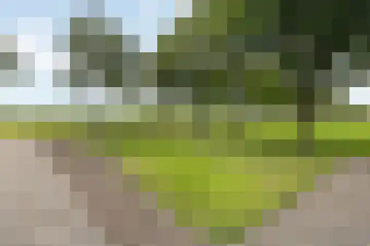Vagevuursweg 3 a Haarle thumbnail 17