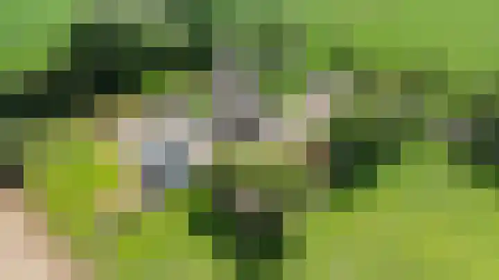 Vagevuursweg 3 a Haarle foto 2