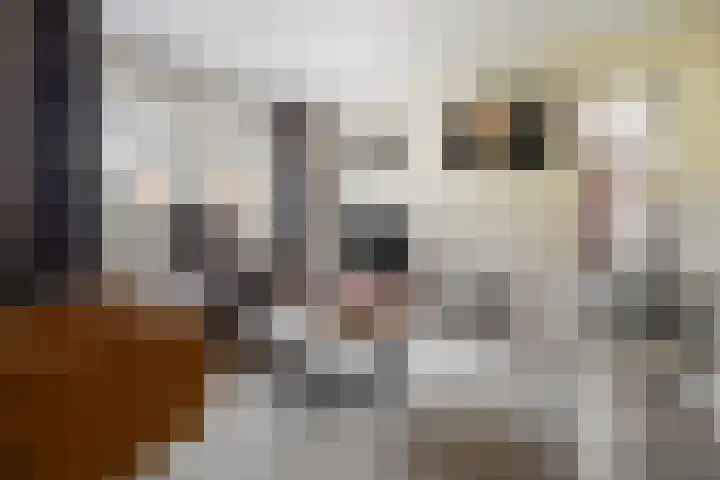 Vagevuursweg 3 a Haarle thumbnail 20