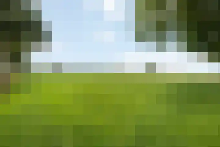 Vagevuursweg 3 a Haarle foto 3