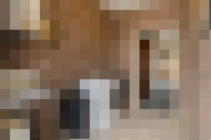 Vagevuursweg 3 a Haarle thumbnail 42