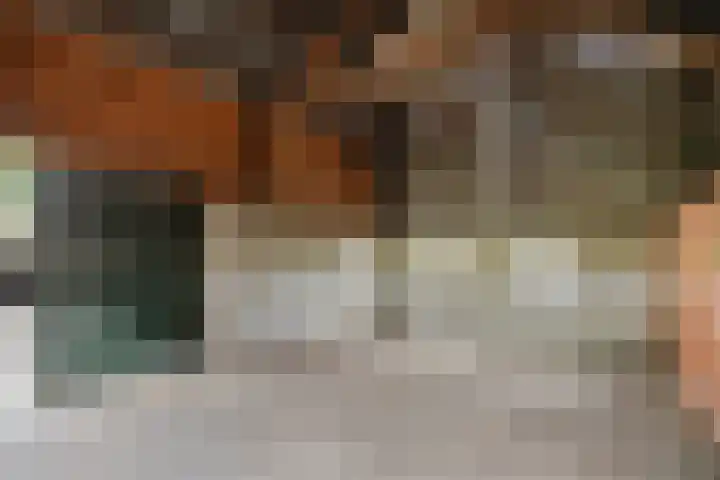 Vagevuursweg 3 a Haarle thumbnail 46