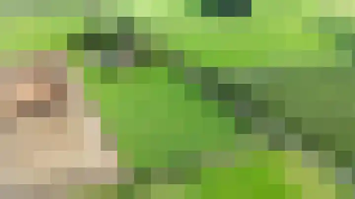 Vagevuursweg 3 a Haarle thumbnail 5