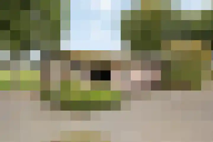Vagevuursweg 3 a Haarle thumbnail 50