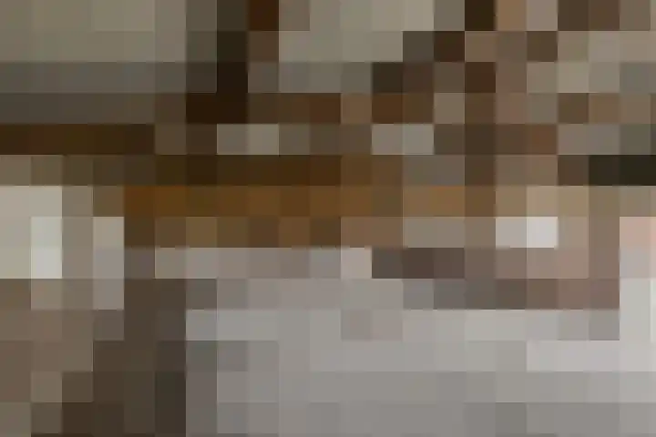 Vagevuursweg 3 a Haarle thumbnail 52