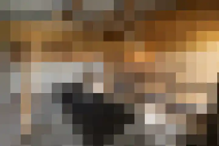 Vagevuursweg 3 a Haarle thumbnail 53