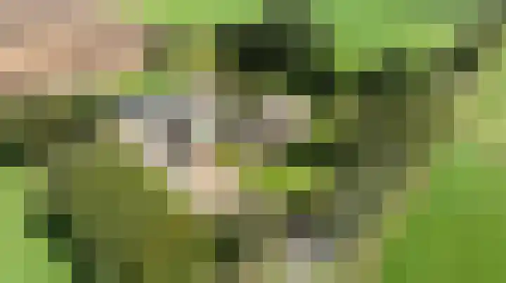 Vagevuursweg 3 a Haarle thumbnail 7