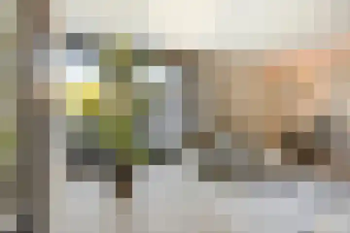 Valbrug 16 Oss thumbnail 10