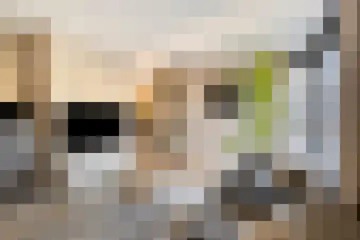 Valbrug 16 Oss thumbnail 4